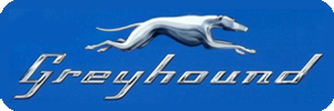 Classic Greyhound